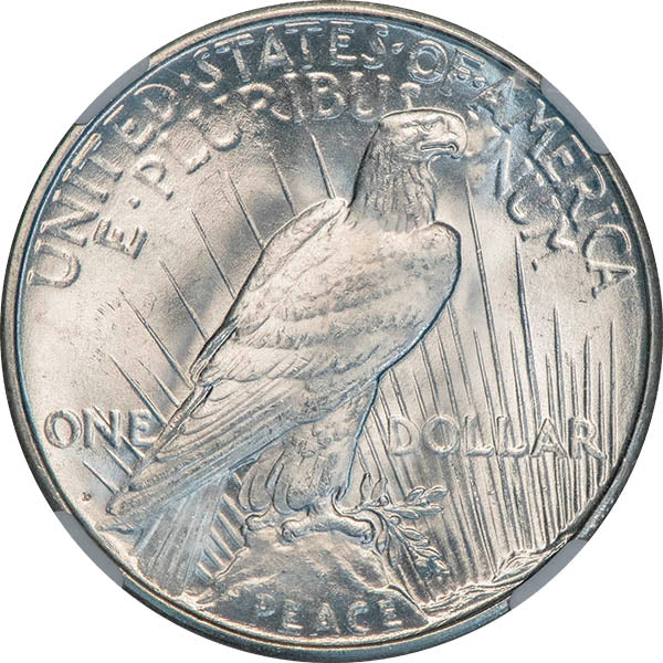(7376) 1934-D $1 NGC MS64 CAC Peace reverse
