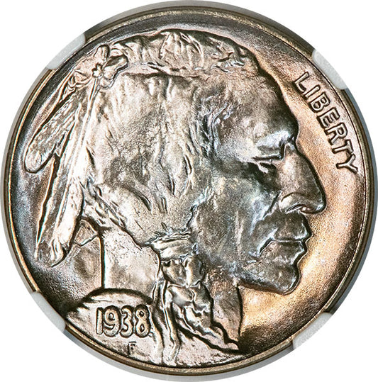 1938-D 5C NGC MS67+ Buffalo Nickel obverse