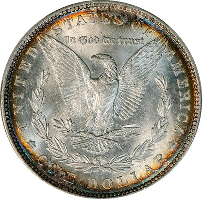 (7084) 1879 $1 PCGS MS66+ Morgan reverse