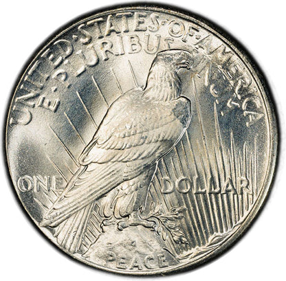 (7365) 1925 $1 PCGS MS67